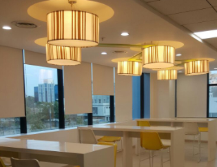 Fortune Global 500 company